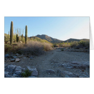 Sentier King Canyon I