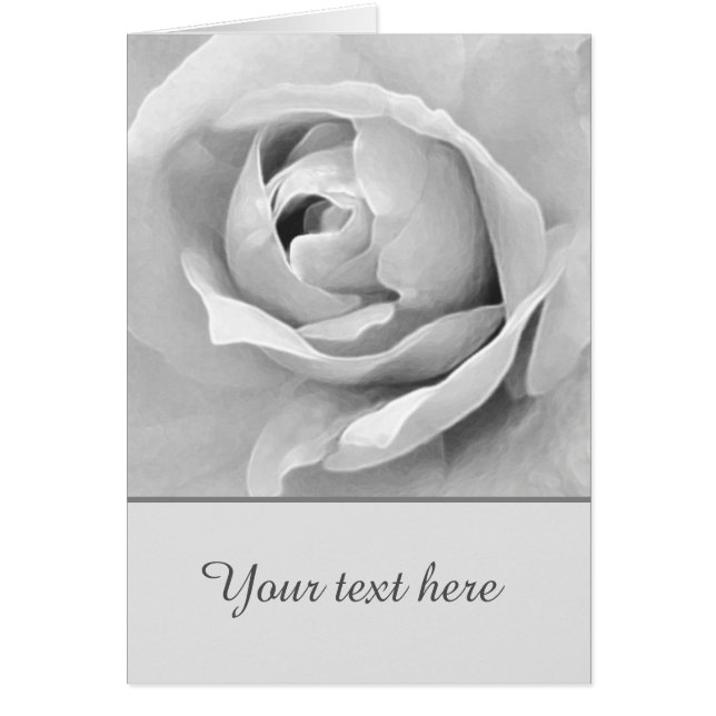 Sentimental Custom White Rose (Vorne)