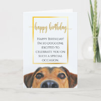 Sentimental Dog Funny Birthday Epic New Love
