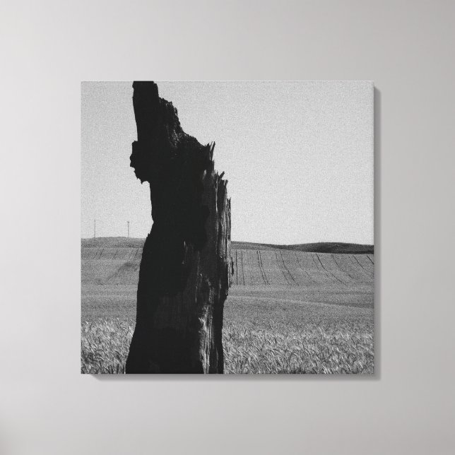 Sentinal Leinwanddruck (Vorderseite)