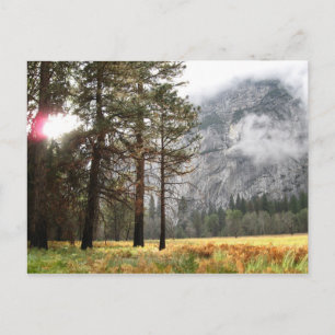 Sentinel Meadow Postkarte