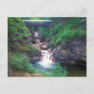 Sentinel Pine Bridge Flume Gorge Postkarte