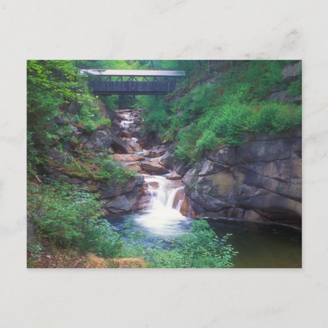 Sentinel Pine Bridge Flume Gorge Postkarte (Vorderseite)