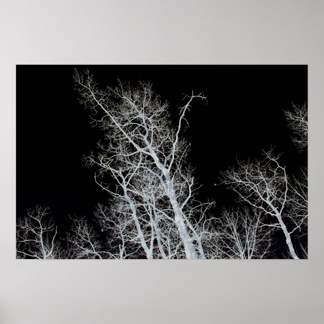 Sentinel Poster (Vorne)