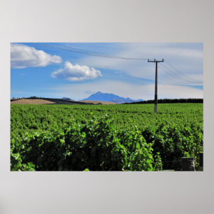 Sentinel über dem Weinberg Poster