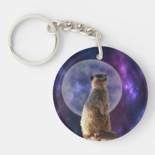 Sentinelle cosmique : Meerkat sous la Pleine lune