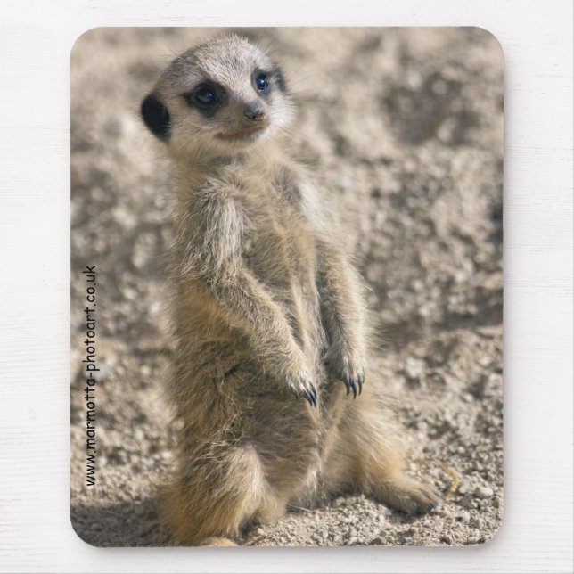 Sentinelle dans le tapis de souris de formation (Devant)