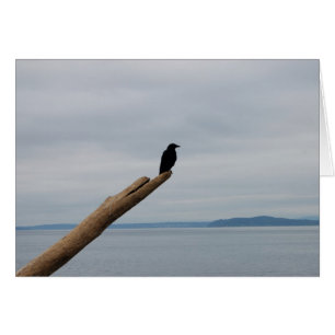 Sentinelle de corneille