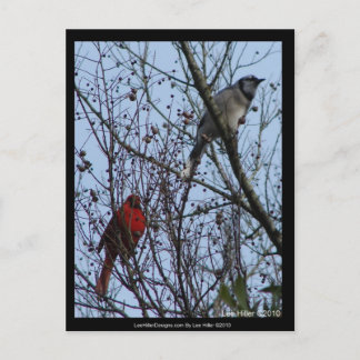 Sentinels Blue Jay und Kardinal von Lee Hiller Postkarte