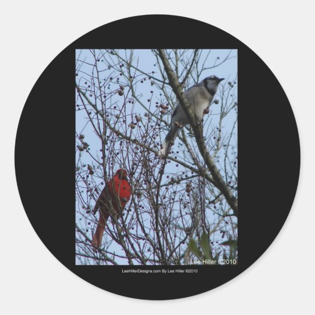 Sentinels Blue Jay und Kardinal von Lee Hiller Runder Aufkleber (Vorderseite)
