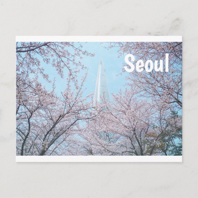Seoul Cherry Blossom Postkarte (Vorderseite)