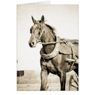 Sepia Amish Pferd und Buggy