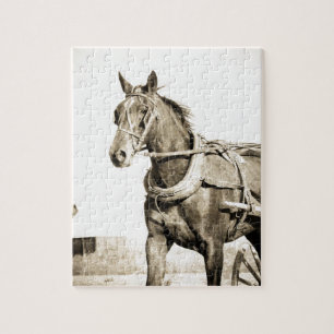 Sepia Amish Pferd und Buggy