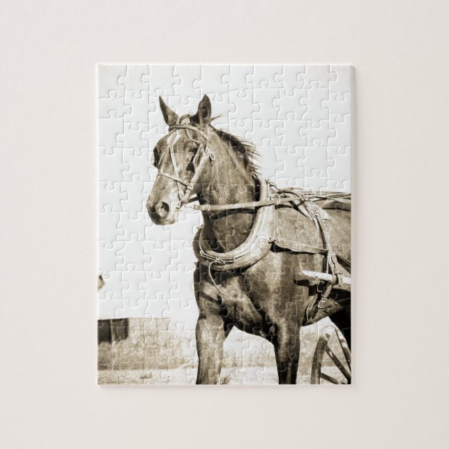 Sepia Amish Pferd und Buggy (Vertikal)