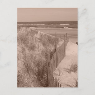 Sepia Beach Scene Postkarte