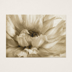 Sépia blanche et arrière - plan crème de dahlia