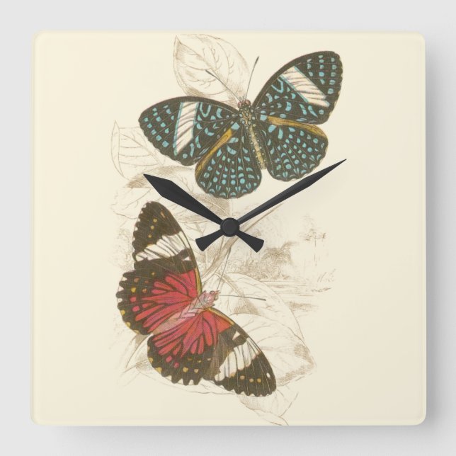 Sepia-Blätter mit bunten Schmetterlingen Quadratische Wanduhr (Vorderseite)