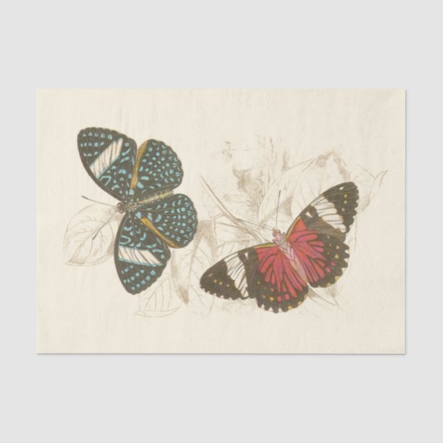 Sepia Blätter mit bunten Schmetterlingen Seidenpapier (Vorderseite)