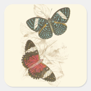 Sepia-Blätter mit farbenfrohen Schmetterlingen Quadratischer Aufkleber