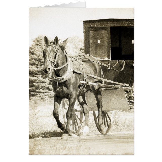Sepia Buggy (Vorne)