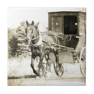 Sepia Buggy Fliese