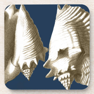 Sepia Conch Seashells Getränkeuntersetzer
