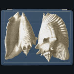 Sepia Conch Seashells iPad Hülle<br><div class="desc">Von diesen Muscheln des Conch hört man das Meer laut und deutlich! Wenn Sie gestresst sind, stellen Sie sich am warmen Sandstrand vor. Diese Muschel von Conch ist ein großartiges Kunstwerk mit mariniertem Hintergrund, das das Bild deutlich schärfer macht.</div>