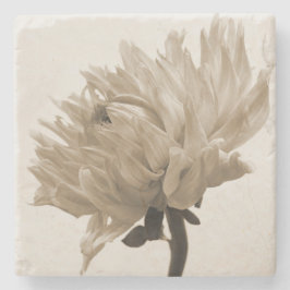 Sepia Dahlia Steinuntersetzer