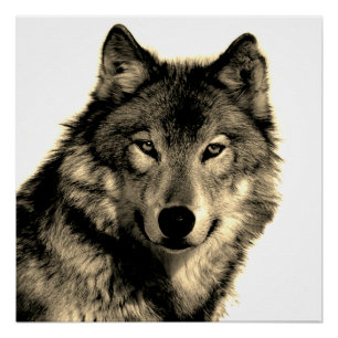 Sepia Einzigartiger Motivierend Wolf Poster