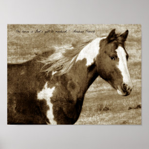 Sepia Flashy mit Zitat Poster