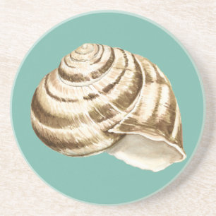 Sepia-gestreifte Muschel auf aquamarinem Getränkeuntersetzer