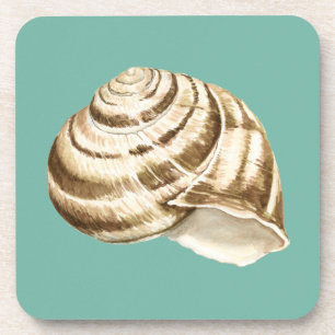 Sepia-gestreifte Muschel auf aquamarinem Getränkeuntersetzer