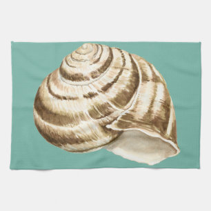 Sepia-gestreifte Muschel auf aquamarinem Handtuch