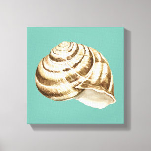 Sepia-gestreifte Muschel auf aquamarinem Leinwanddruck
