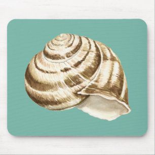Sepia-gestreifte Muschel auf aquamarinem Mousepad