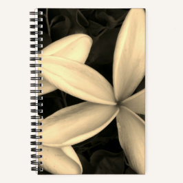 Sepia Hawaiian Blume Foto Spiral Notebook Notizbuch