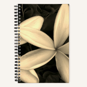 Sepia Hawaiian Blume Foto Spiral Notebook Notizbuch