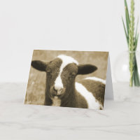 Sepia-Jakob-Lamm-Geburtstag