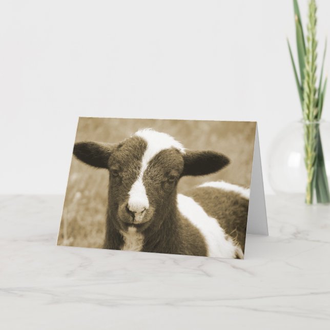 Sepia-Jakob-Lamm-Geburtstag Karte (Vorderseite)