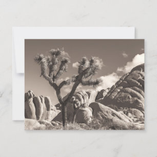 Sepia Joshua Bäume Landschaft mit Felsen Postkarte