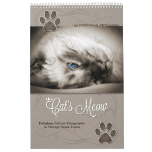 Sepia Kitty Cats für Haustiere über 12 Monate Kalender