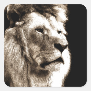 Sepia Lion Quadratischer Aufkleber