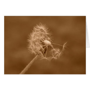 Sepia-Löwenzahn-Karte (freier Raum)