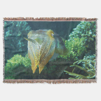 Sepia Nahaufnahme! Schimmernder Tintenfisch am Kor Decke