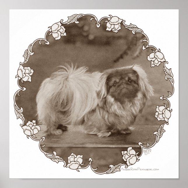 Sepia Pekingese Portrait Poster (Vorne)