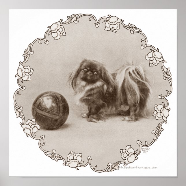 Sepia-Pekingese-Porträt Poster (Vorne)