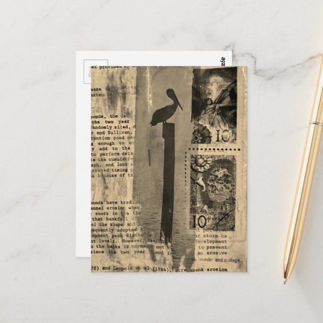 Sepia Pelican mixed media collage Postkarte (Vorderseite/Rückseite Beispiel)