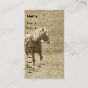Sepia Pinto Pony Visitenkarte