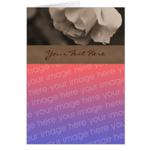 Sepia Rose Floral Carte photo
