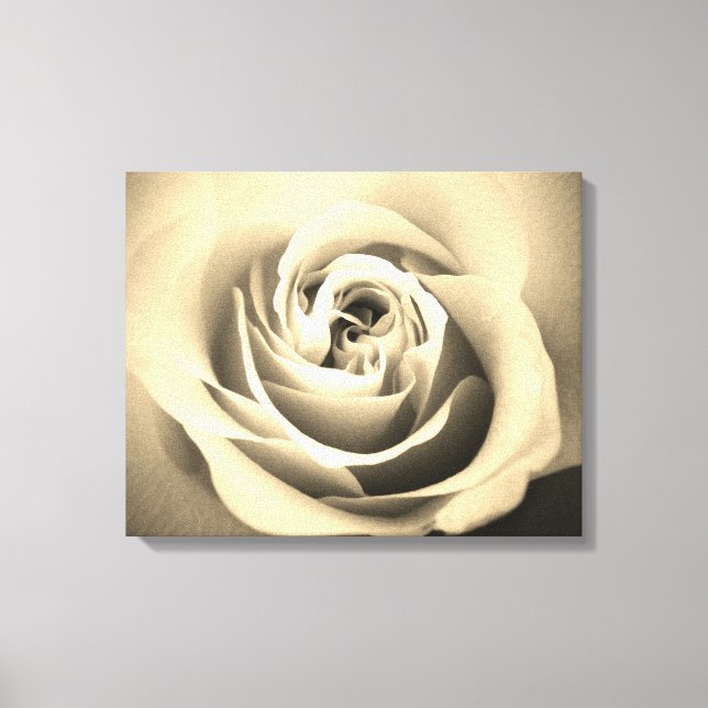 Sepia-Rose Leinwanddruck (Vorderseite)